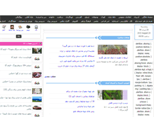 Tablet Screenshot of nishonoosh.com